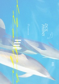 ｜DOLPHINS