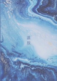 《湛放》