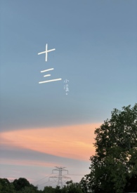 十三