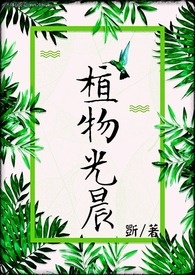 植物光晨