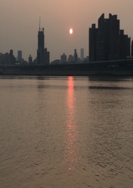 芳心為愛