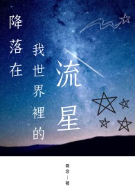 降落在我世界裡的流星