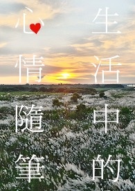生活中的心情隨筆