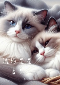 透過星星看見