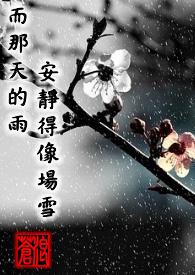 第三部:而那天的雨安靜得像場雪(完)