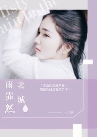《北城雨霏然》