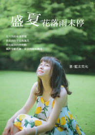 盛夏花落雨未停