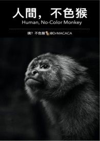 人間，不色猴