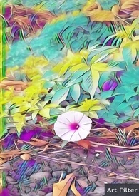 隨手拍