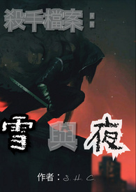 殺手檔案:雪與夜