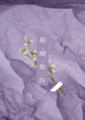 拒絕告白
