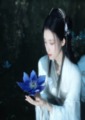 幽影花