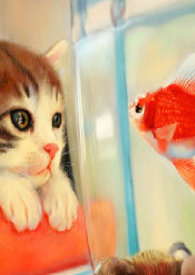 當魚吃貓的時候