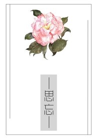 思忘Design