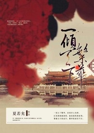 一傾天下繁華