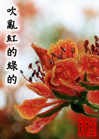《浪.得虛名》第一部:吹亂紅的綠的