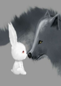 二選一，白兔與野狼