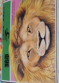 獅子 --- LION