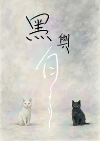 黑與白