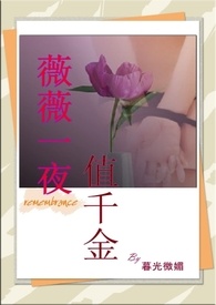 薇薇一夜值千金