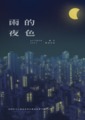 雨的夜色