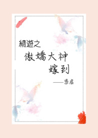 網遊之傲嬌大神嫁到
