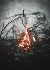 【火影】走火