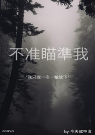 不准瞄準我
