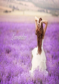 薰衣草Lavender