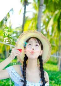 微風落在這年夏天