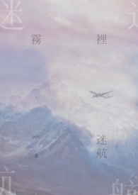 霧裡迷航