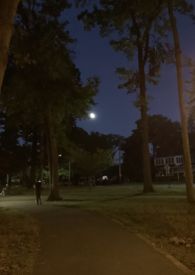那月顯得孤獨 that moon looks lonely