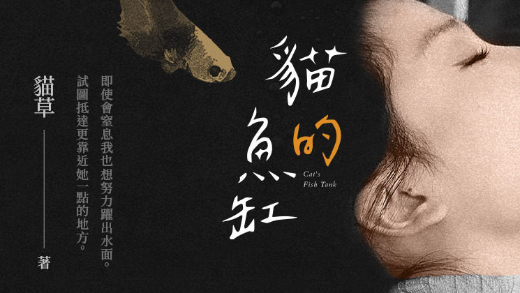 貓的魚缸
