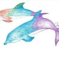 海豚獨白