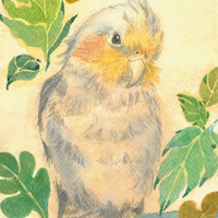Rachel。H