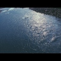 肆頤