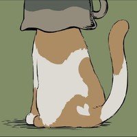 懶貓