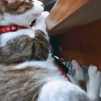 有點閒