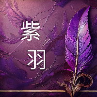 創作概念與申明
