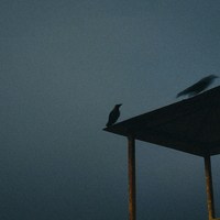指夏