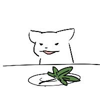 大麻貓