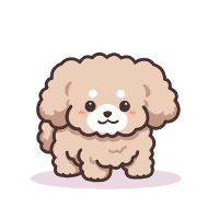 小貴賓