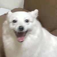 貳居