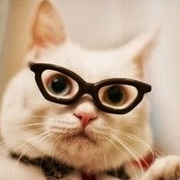 眼鏡貓