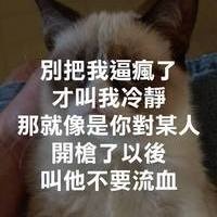 愛羊咩咩喔