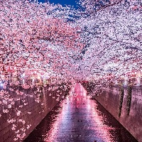 覺悟